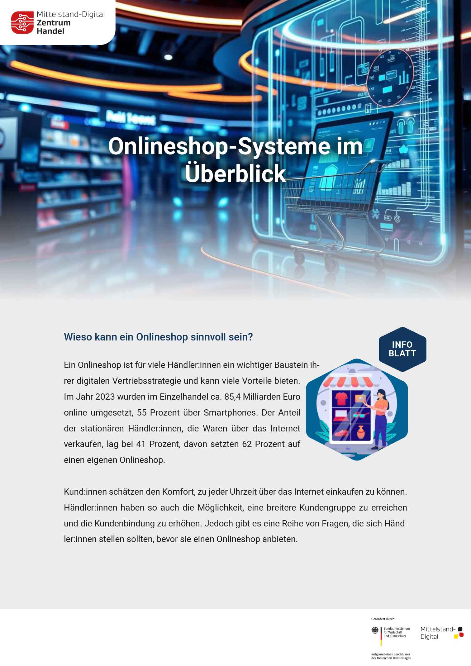 Infoblatt: Onlineshop-Systeme im Überblick