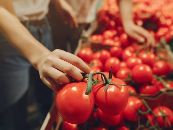 Person nimmt Tomaten im Supermarkt aus dem Regal.